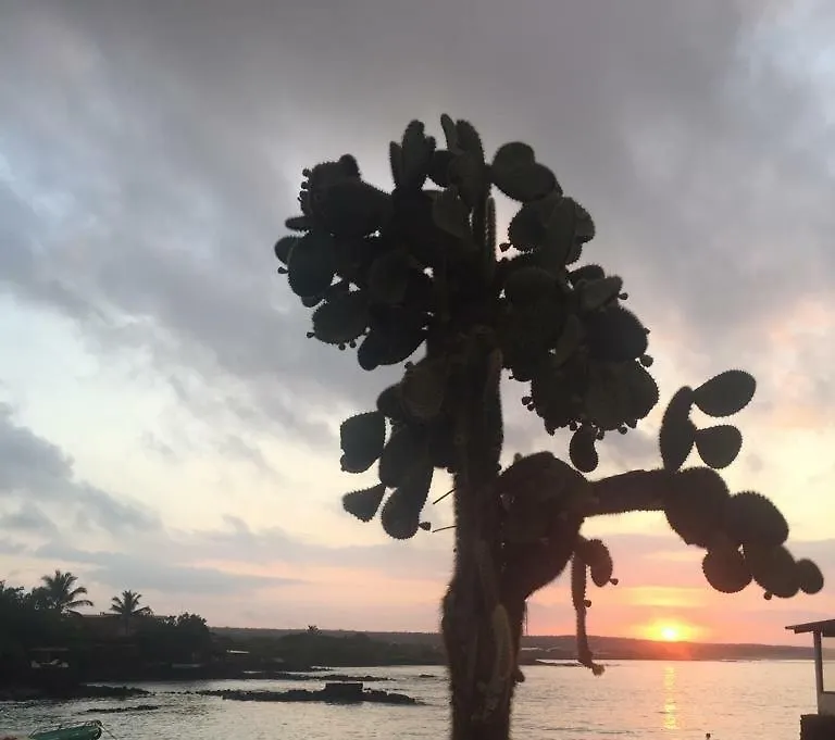 New Galapagos Hostelling Puerto Ayora 3*,  Ecuador