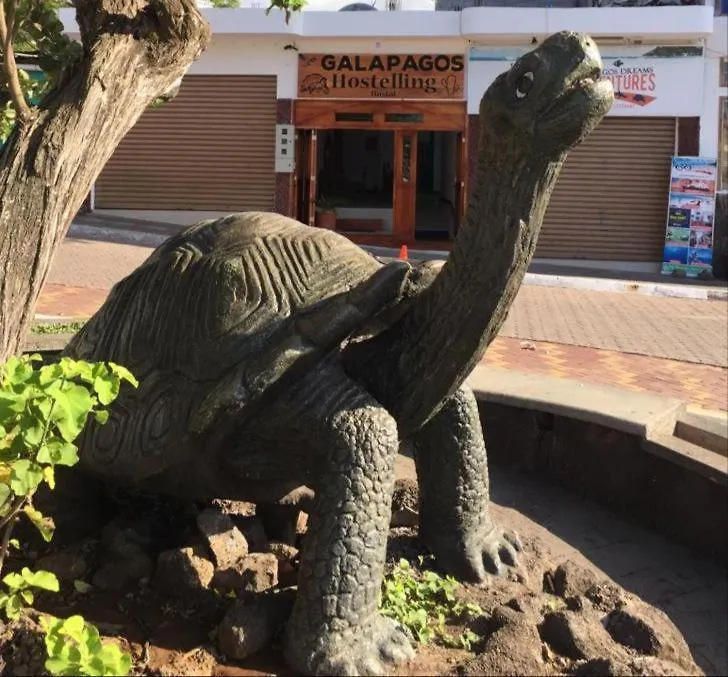 Hotel New Galapagos Hostelling Puerto Ayora